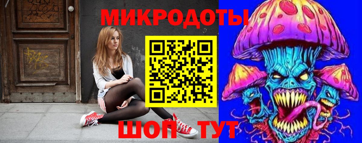 Псилоцибиновые грибы Psilocybe Гулькевичи